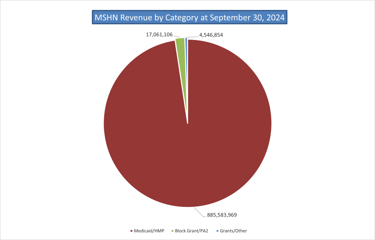 Mid-State Health Network Revenue by Funding Source