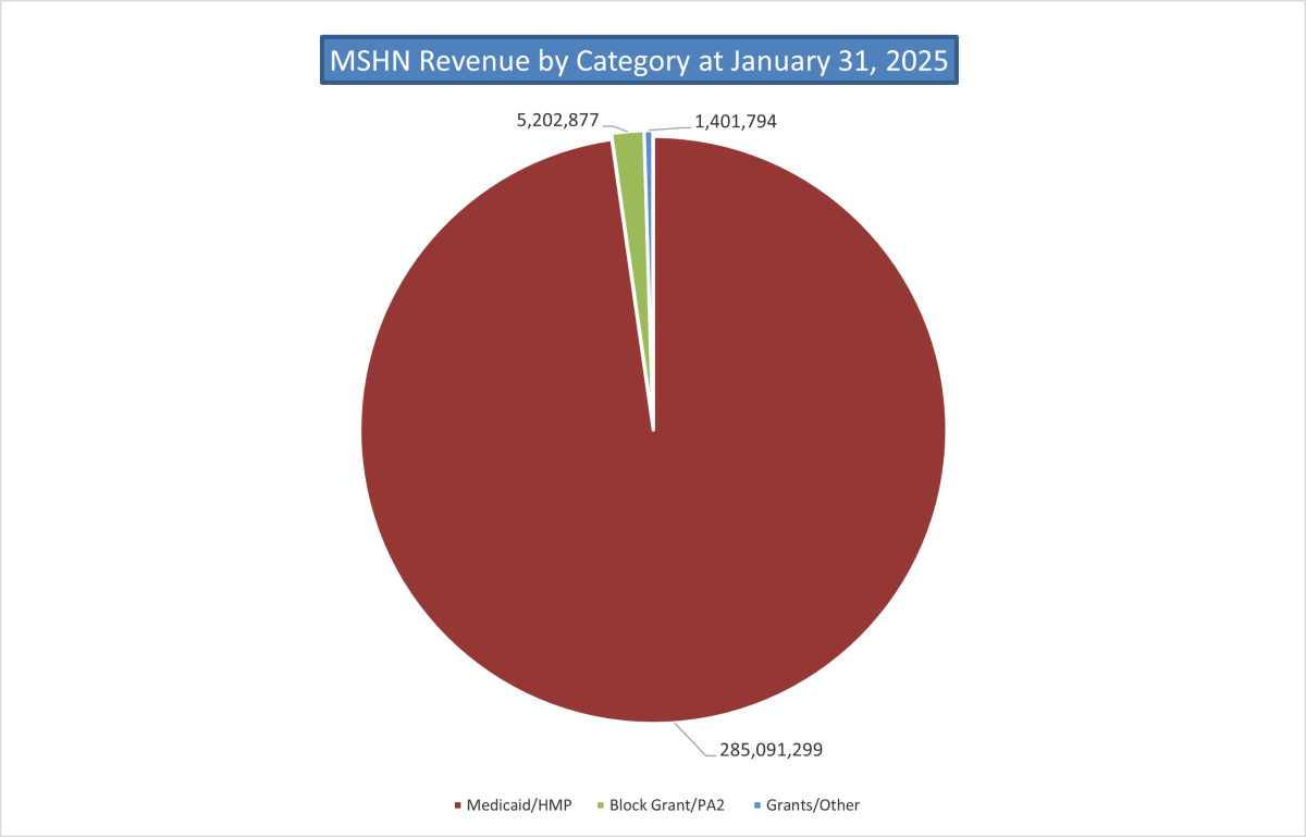 Mid-State Health Network Revenue by Funding Source