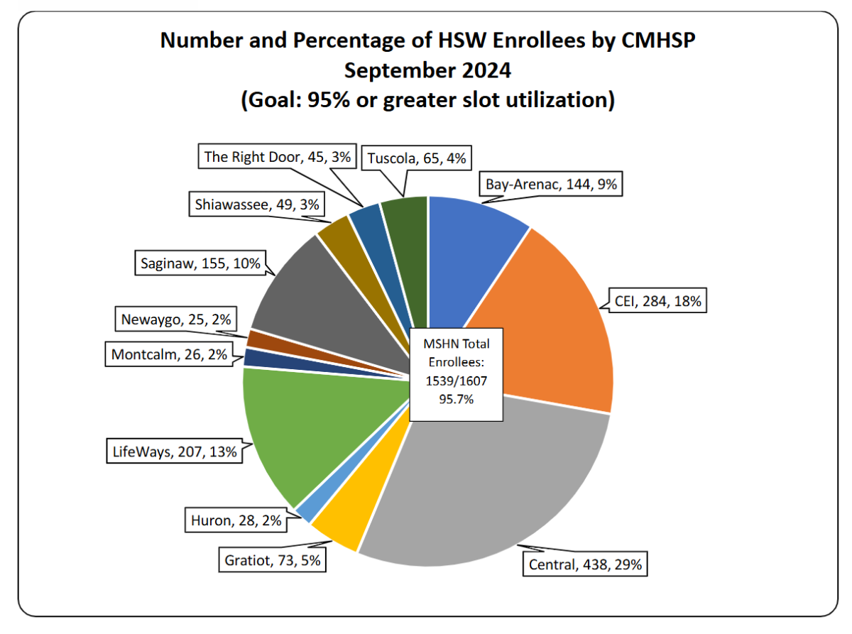 Habilitation Supports Waiver (HSW) Program by Community Mental Health Service Program - End of Quarter 2, Fiscal Year 2024.